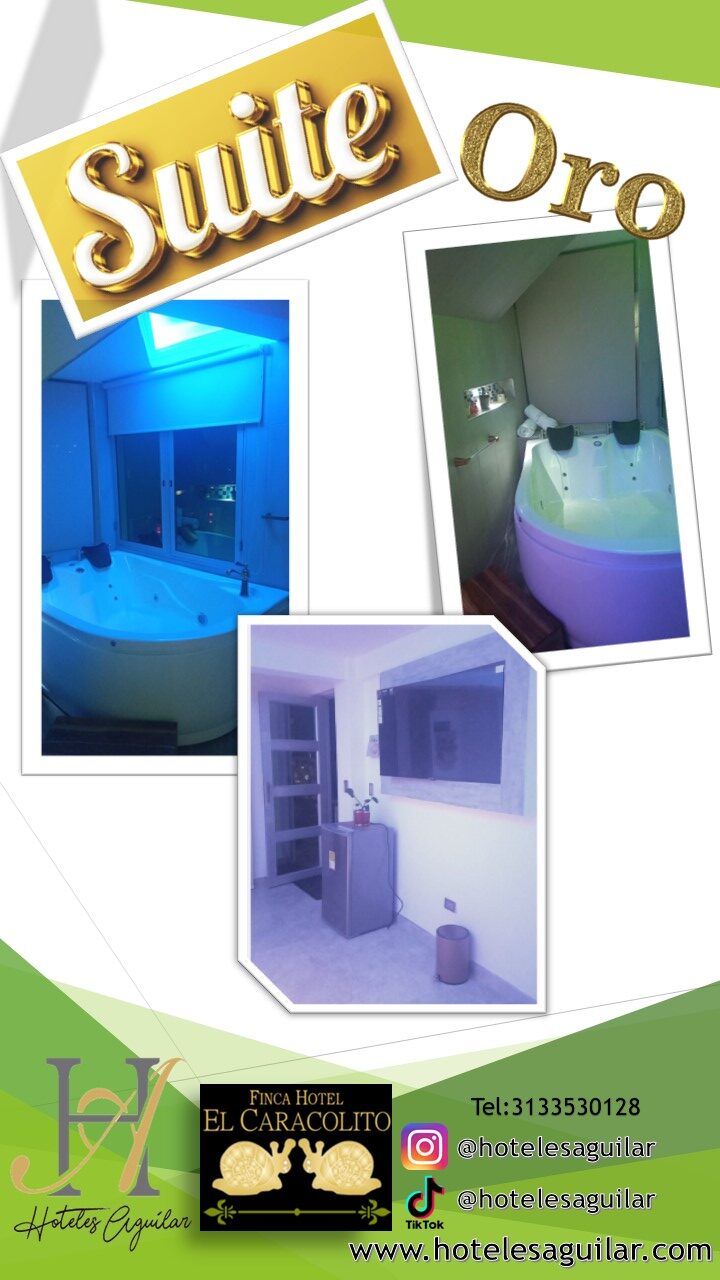 Diapositiva02